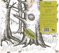 Psapp - Tiger, My Friend