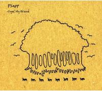 Psapp - Tiger, My Friend