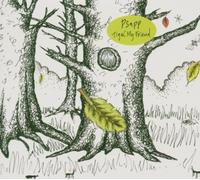 Psapp - Tiger, My Friend [German Import]