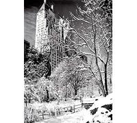 Psaris Productions Central Park New York Christmas Cards Boxed With Envelopes Set of 12 Holiday Cards And 12 Envelopes. Xmas Cards Made in USA