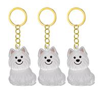 Psdndeww 2/3/4/5/10pcs Pet Storage Keychain with Hair Collector Compartment Pet Fur Pendant for Dog Cats Lovers Cute Dog Hair Keepsake Box