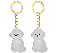 Psdndeww 2/3/4/5/10pcs Pet Storage Keychain with Hair Collector Compartment Pet Fur Pendant for Dog Cats Lovers Cute Dog Hair Keepsake Box