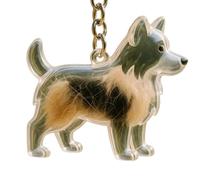 Psdndeww Clear Dog Hair Storage Box Key Ring Memorial Jewellery with Safe Animal Loss for Emotional Supportive Gift Pet Hair Storage Keychain Charm