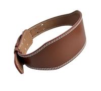 [Psdndeww] Men's Classic Adjustable Waist Belt Lumbar Back Relief Fitness Decoration Ergonomic Belt, Braun, L