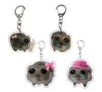 Psdndeww Set of 4 Acrylic Hamster Key Ships Acrylic Key Holder Playful Hamster Acrylic Key Ring for Animal Lovers Available