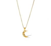[Psdndeww] Stainless Steel Pendant Necklace Cubic Zirconia Charm Neck Chain Unisex Clavicle Chain Gold Plated Waterproof Jewelry