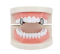 Psivika 2PC Gold Plated Vampire Dracula Grillz Cap for Your Teeth Grillz Men Women Hip Hop Jewelry Gift, M, Brass, rhinestone