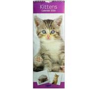 PSO 2026 Super Slim Month to View Spiral Bound Hanging Wall Calendar Home Office (Kittens)