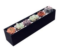 PSOIRGCNH Modern Metal Steel Trough Planter - Rectangle Indoor Table & Windowsill Herb Planter (1pc Short Black)