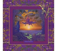 XTC as The Dukes Of Stratosphear - Psonic Psunspot [200 gm LP vinyl] [VINYL]