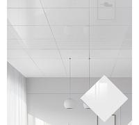 PSRONYAOG Ceiling Tiles Panels coving Self Adhesive Ceiling Covering, Square 30x30 Cm DIY Suspended Ceiling Tiles & 3D Wainscoting Panels, Waterproof & Oil-Resistant Stick On Cladd