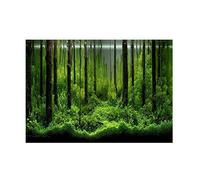 Pssopp Aquarium Background Decoration PVC Adhesive Underwater Forest Tank Background Poster Double Sides Backdrop Decoration Paper for Aquarium(91×50cm)
