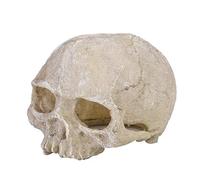 Pssopp Aquarium Skull Ornaments Resin Artificial Head Skeleton Decoration Fish Tank Decorative Hiding Cave Landscape Terrarium Reptile Ornaments