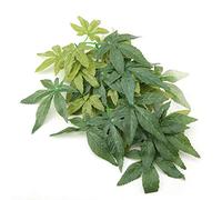 Pssopp Artificial Hanging Vine, Realistic Green Flexible Plastic Reptile Terrarium Decor with Sucker Mount for Lizards Geckos Chameleons 30cm 40cm 50cm