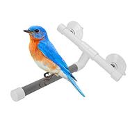 Pssopp Bird Shower Perch Suction Cup Window & Bath Perch for Parrot, Parakeet, Cockatiel, Finch, Canary, Budgerigar - PVC Green