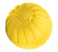 Pssopp Eva Dog Ball Toy with Bite Resistant Design for Outdoor Play