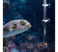 Pssopp Feeder Tube and Plate for Shrimp, Fish, Crystal Shrimp, Aquarium, Transparent, 32cm