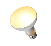 Pssopp Reptile Heat Lamp Bulb E27 100W Basking Bulb for Bearded Dragon