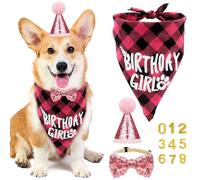 Psxuie Dog Birthday Accessory, Dog Hat & Bandana Set, Pink, One Size, Polyester Blend, Birthday, Accessory, Hat and Bandana, Small Breeds, Medium Breeds
