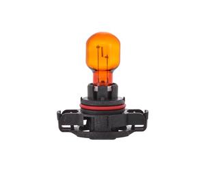 PSY24W Hipervision Bulb