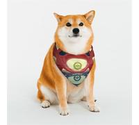 Psychedelic Architecture, Arches Pet Scarf Stylish Triangle Bid Scarf Bandana Pet Accessory,Washable Pet Kerchief for Girl Boy Dogs or Cats Large