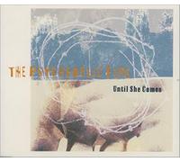 Psychedelic Furs - Until She Comes
