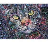 Psychedelic Kitty Cat