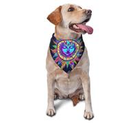 Psychedelic Space Neon Printed Graphic Pet Triangle Scarf For Dogs & Cats, Adjustable Cute Pet Bandana For & Photo Shoots
