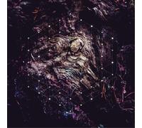 Psychonaut - Unforld the God Man - New Vinyl Record 12 Album - H72z