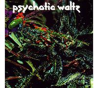 Psychotic Waltz - Mosquito