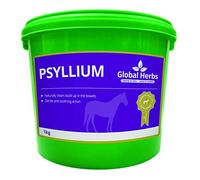 Psyllium by Global Herbs (1KG)