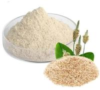 Psyllium Husk Powder 500g - 99% Purity Blond Powdered Husks Bulk Soluble Natural Fibre for Baking Drinks Food Humans Eat Gut Laxatives Constipation Relief Digestive Aid Ispaghula Isabgol Ispaghol