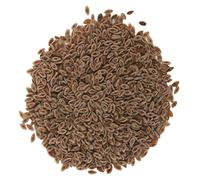 Psyllium Seeds Colon IBS Detox - Natural Fibre Free UK P&P (450g)