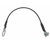 PT Auto Warehouse TC-FO551-TGR: Tailgate Support Cable, Right - Compatible with Selected Ford