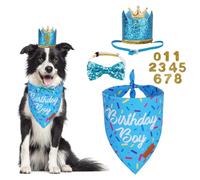 PTDECOR Dog Birthday Party Supplies, Multi Size Birthday Boy Bandana，Blue Crowns Birthday Dog Hat Set for Medium Large Pets (Large)