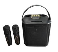 Ptdfjspt High Power Karaoke Bluetooth Speaker Portable 360 Stereo Surround Waterproof Wireless Subwoofer with Dual Microphone-A