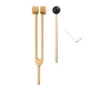 Ptdfjspt L69A 256 Hz Tuning Fork Medical-Healing Instrument with Hammer A Repair Tool Human Biofield Diapa Son(Gold) Easy Install