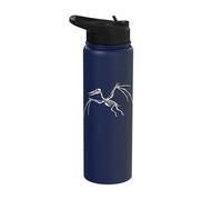 Pteranodon Skeleton Pterodactyl Dinosaur Bones Stainless Steel Insulated Water Bottle