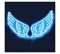 PTHEN Hanging Signs USB Powered Angel Wing Neon Signs A Pair of Wings Suitable for Home Decor 35cmx56cm(C)