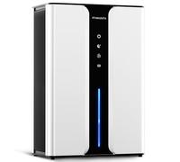 PTHRAOUTA Dehumidifier for Home 950 Sq.Ft, Quiet Dehumidifier for Bedroom Bathroom with Drain Hose, with Reusable Air Filter Indoor Dehumidifier for
