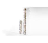 Ptolomeo Wall Book Column Opinion Ciatti