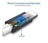 Ptown Diaries a Documentary Film By Joseph Mantegna