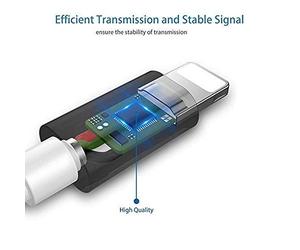 Ptown Diaries a Documentary Film By Joseph Mantegna