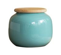 Ptrecniok Pet urn， Multicolor Ceramic Urns Serve As Human Ashes Memorial Keepsake(Sky Blue)