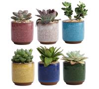 ptumcial Plant Pot 6Pcs Ceramic Plant Pot, Decorative Mixed Pattern Ice Crack Design Small Pots for Home Outdoor Garden Decorations