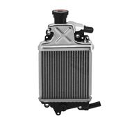 PTWOIXMBG Radiator Cooler Cooling Compatible With Honda PCX150 PCX 150 2018-2020 ADV 150 2019-2023