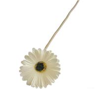 PU Artificial Gerbera for daisy 38cm Realistic Bendable for stem(Creamy White)