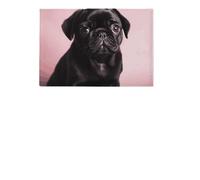 PU Protector Sleeve Credit Card Women Men Cute Black Pug Waterproof Travel Wallet Stylish Passport Cover Slim Passport Case for Card Holder Travel Accessories, style, 20.3x13.8cm