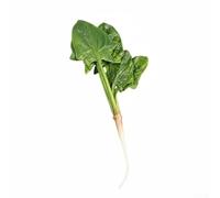 PU Spinach Vegetable Replica with Attention to Botanical Accuracy for Styling and Visual Merchandising (B)