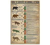 PUBDSKBLDE Camping Knowledge Metal Tin Sign How to Survive an Animal Attack Poster Outdoor School Education Club Garage Home Wall Decoration Plaque 8x12 Inches